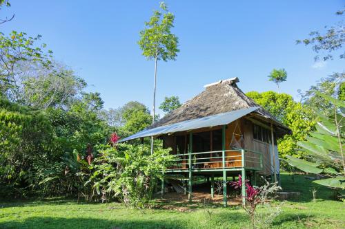 a small hut with a thatch roof at Casa Drake Lodge in Drake