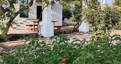 Taman di luar LA PILA masseria salentina con piscina 3 camere con 6 PL si animali domestici