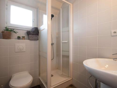 une salle de bain avec une douche, des toilettes et un lavabo dans l'établissement Appartement cosy pour 4, proche pistes Saint-Lary Pla d'Adet - FR-1-296-333, à Saint-Lary-Soulan