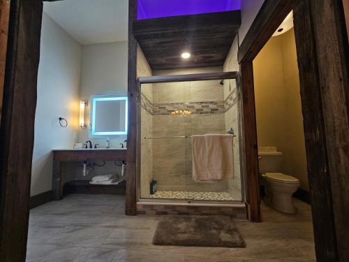 a bathroom with a shower with a toilet and a sink at Eaglescape Suites and Event Center in Miles City