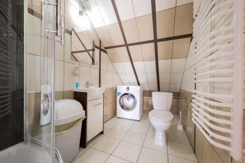 a bathroom with a toilet and a washing machine at Apartament i pokoje Grota Zbójnicka in Gliczarów
