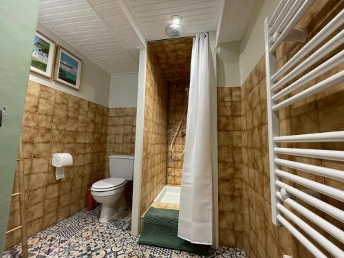 une salle de bain avec toilettes et douche dans l'établissement Le Doux Douillet Beauval à 5mn du Zoo - Gite Familial en Hypercentre de Saint-Aignan, à Saint-Aignan