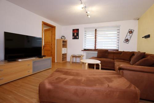 un soggiorno con divano e TV a schermo piatto di Haus Blattert - Neuglashütten a Feldberg