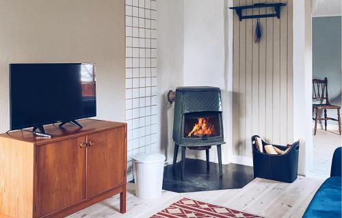 BottnarydにあるAmazing Home In Bottnaryd With Wifiのリビングルーム(テレビ、暖炉付)