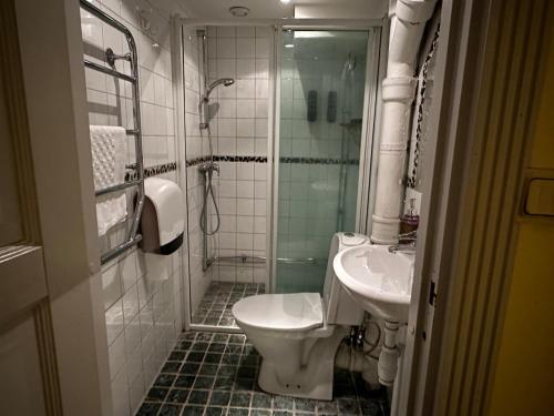 a bathroom with a toilet and a shower and a sink at Hotel Tre Små Rum in Stockholm