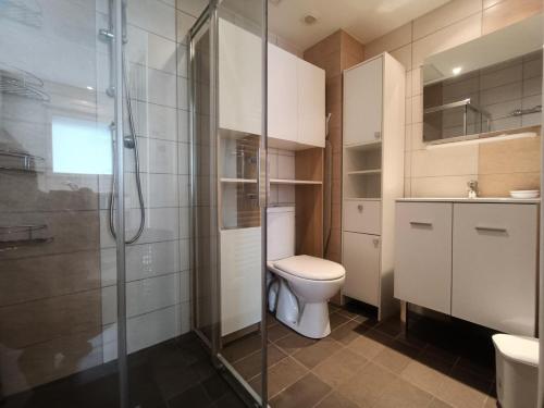 une salle de bain avec toilettes et douche en verre dans l'établissement Residence Immocite - Agréable logement avec sa grande agréable terrasse et terrain clos ! MAE-6694, à Aix-les-Bains