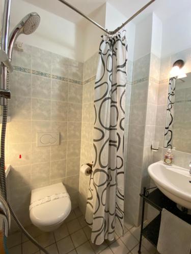 a bathroom with a shower and a toilet and a sink at La Casa Del Poeta in Dervio