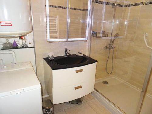 une salle de bain avec un lavabo et une douche dans l'établissement Résidence Le Cocher De La Reine - Dans quartier agréable, logement bien équipé ! MAE-7804, à Aix-les-Bains