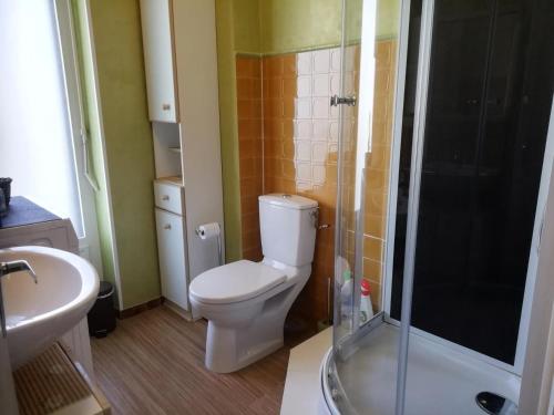 une salle de bain avec toilettes et douche dans l'établissement Résidence Montcalm D - Agréable logement et bien équipé ! MAE-2174, à Aix-les-Bains