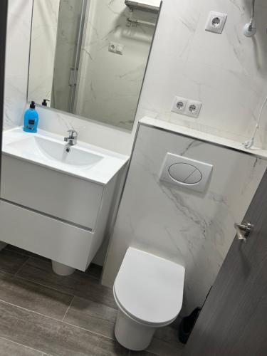 uma casa de banho com um lavatório, um WC e um espelho. em Apartamento Tejares 2B em Málaga