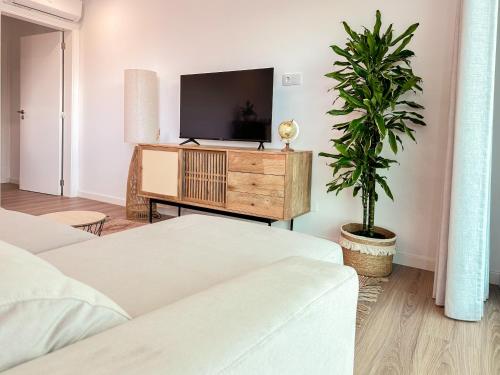 a bedroom with two beds and a tv and a plant at Flora Guest House in Marco de Canaveses