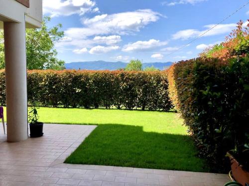 einen Garten mit grünem Rasen und Hecke in der Unterkunft Appartamento piano terra con giardino - Pistoia in Olmi