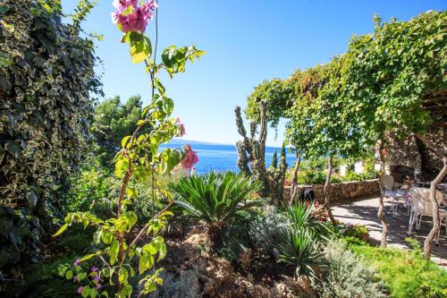 a garden with a view of the ocean at Apartments Boris in Omiš