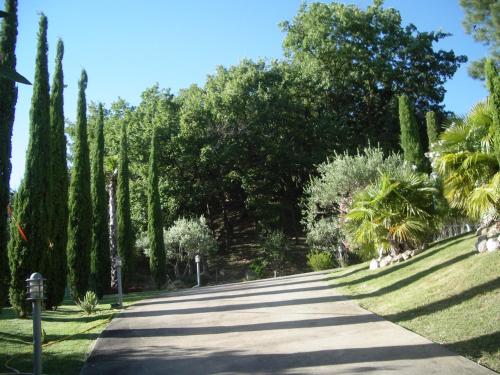 une route bordée d'arbres et de palmiers dans l'établissement Le Mas de l'Alliance - 12 p - Air Cond - private Pool - near Grignan, à Roussas