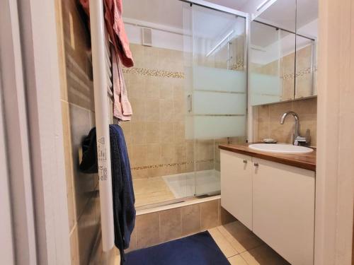 a bathroom with a sink and a shower at Appartement Paris Sud 53m2 - 2 chambres in Malakoff