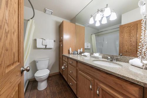 トラッキーにあるOne-Bedroom King 2nd Floor Partial Lake Viewのバスルーム(トイレ、洗面台、鏡付)