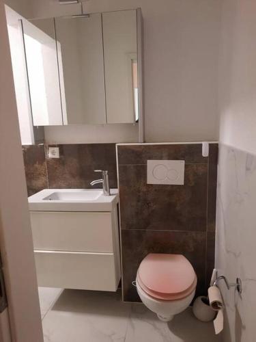 a bathroom with a pink toilet and a sink at Wohnen wie Zuhause in Abstatt