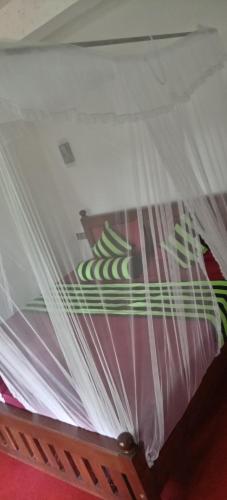 a bed with a white canopy with green and pink at Ella Shali's home in Ella