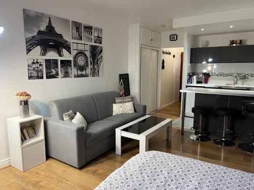 Il comprend un salon avec un canapé gris et une cuisine. dans l'établissement La perle d'Alesia, à Paris