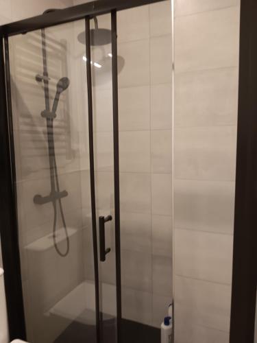 y baño con ducha y puerta de cristal. en Gregorio Marañón Apartment 3, en Madrid