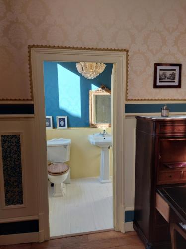 a bathroom with a toilet and a sink at La Guériniere la Moulidart in Châteauneuf-sur-Charente