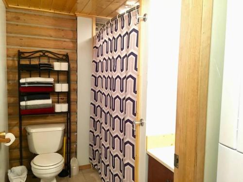 La salle de bains est pourvue de toilettes et d'un sèche-serviettes. dans l'établissement Talkeetna Log Cabin with Hot Tub Unit 1, à Talkeetna