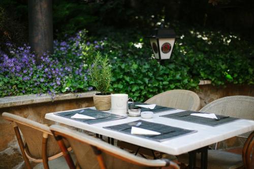Zahrada ubytování Hotel Mediterran
