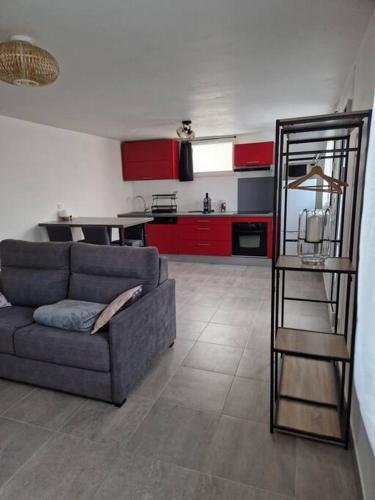 Joli T2 cosy avec jardin privatif