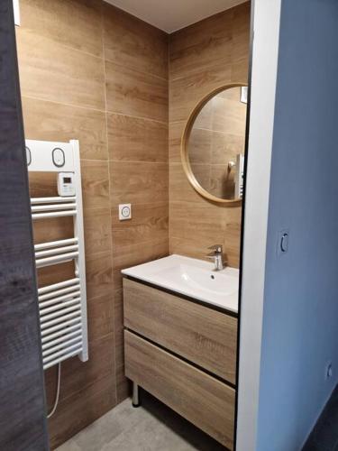 une salle de bain avec un lavabo et un miroir dans l'établissement Joli T2 cosy avec jardin privatif, à Frontignan