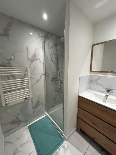 une salle de bain avec douche et lavabo dans l'établissement Appart cosy proche le havre, à Harfleur