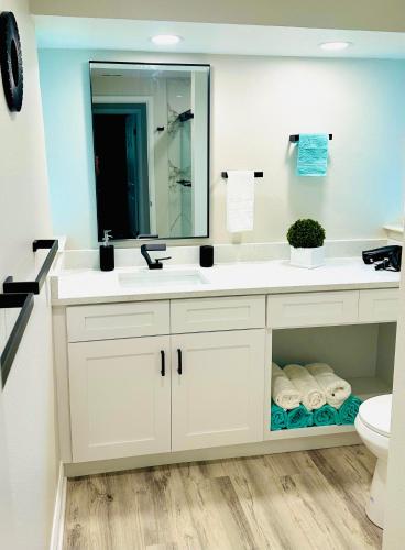 a bathroom with a sink and a mirror at NEW Renovated luxury home with private heated pool, game room Near Anna Maria Island and IMG in Bradenton
