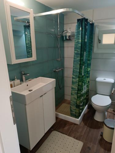 a bathroom with a toilet and a sink and a shower at Thor Freyjas of Poseidonia Syros Holiday House in Posidhonía