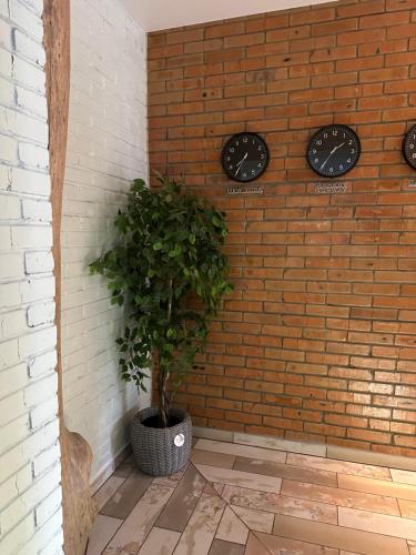 a plant in a pot next to a brick wall at Sinay Hotel & Restaurant in Chechel'nyk