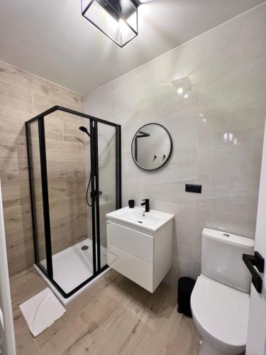 a bathroom with a shower and a toilet and a sink at Ubytování Cukrovar in Lovosice