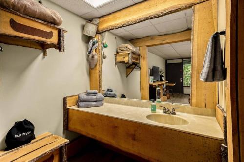 a bathroom with a sink and a mirror at Stonegate Lodge King Bed WIFI 50 Roku TV Salt Water Pool Room #104 in Eureka Springs