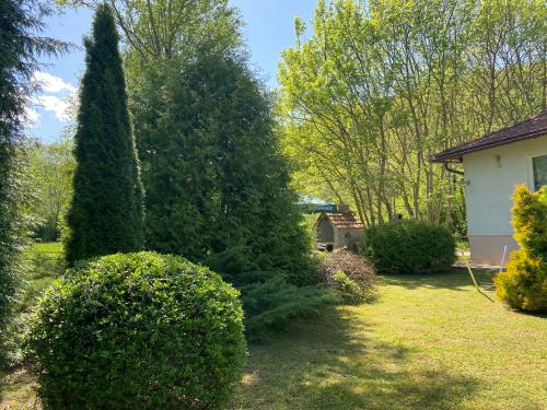 Ein Garten an der Unterkunft Villa Nana