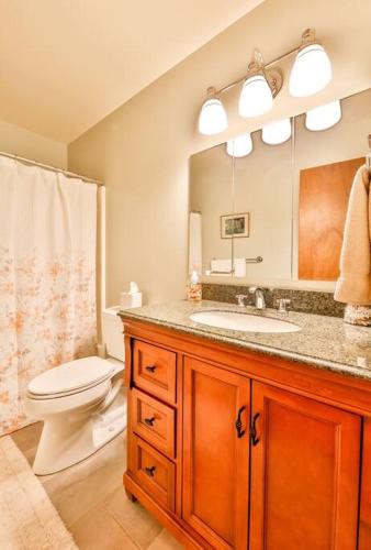 a bathroom with a toilet and a sink and a mirror at Mountain house w/ stunning views & gourmet kitchen in Maplecrest