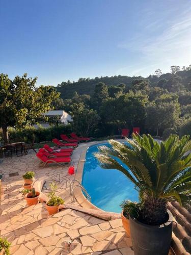 une piscine avec des chaises longues et un complexe hôtelier dans l'établissement Villa Alexandra, à La Croix-Valmer
