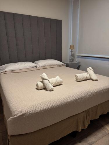 1 dormitorio con 1 cama con 2 almohadas en Departamento confortable en Mendoza