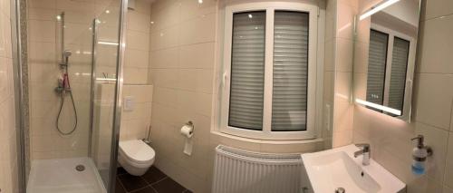 uma casa de banho com um lavatório, um WC e uma janela. em Le cocon de Céline em Eischen