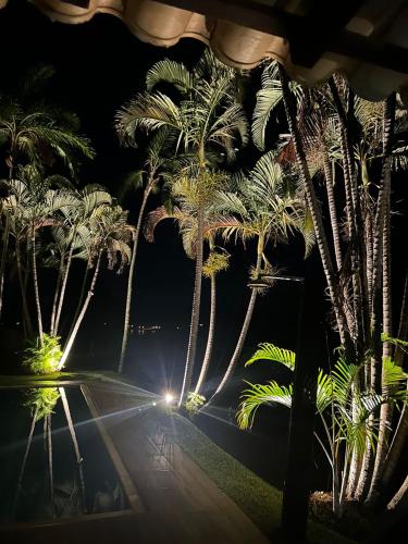 a street lined with palm trees at night at Mirante do Lago in Capitólio