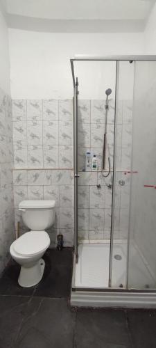 a bathroom with a shower with a toilet and a shower at Azul Profundo Hostal Cultural in Valparaíso