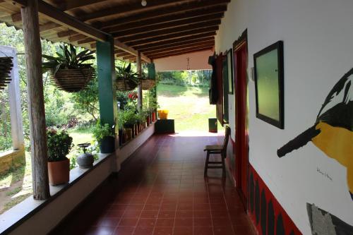 a hallway of a house with potted plants at Alojamiento Rural Café Yarumo in Buenavista