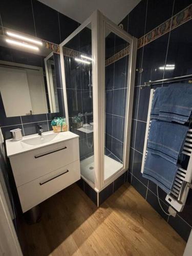 une salle de bain avec douche et lavabo dans l'établissement Appartement le Cristal Dinard bord de mer, à Dinard
