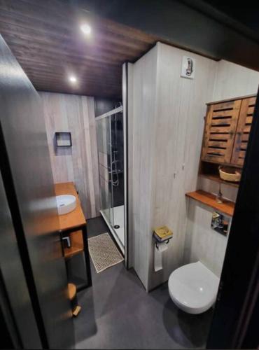 une petite salle de bain avec toilettes et douche dans l'établissement Petit appart Colmar - ingersheim, à Ingersheim