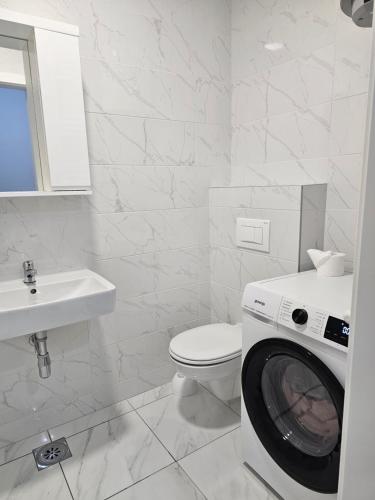 ein weißes Bad mit einer Waschmaschine in der Unterkunft Apartman Urukalo in Rebrovac