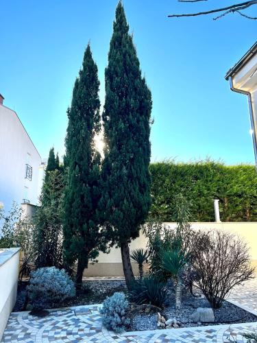 a couple of trees in a yard with plants at Delux 4 Stars Apartment Ariadne - 1 Min from Beach in Soline