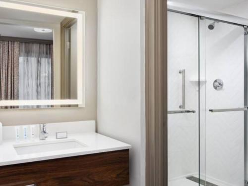 a bathroom with a sink and a shower at Hampton Inn & Suites New Orleans Canal St. French Quarter in New Orleans