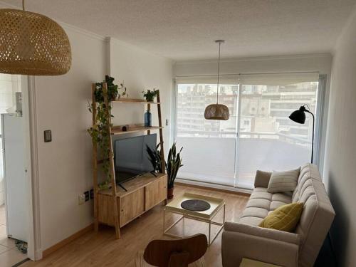 蒙特維多的住宿－Muy cómodo y trendy，带沙发和电视的客厅