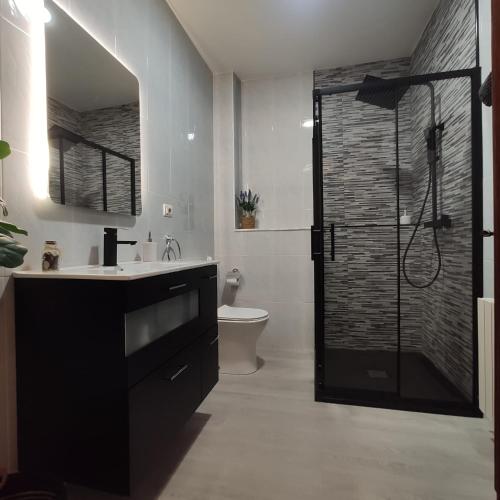 a bathroom with a shower and a sink and a toilet at Casa Charo Prexigueiro in Ribadavia